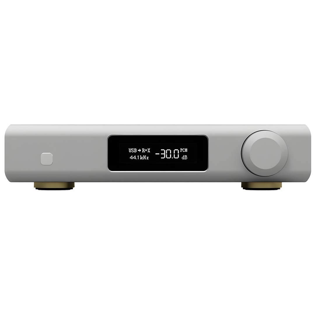 D90 III DISCRETE DAC | Silver (B STOK)