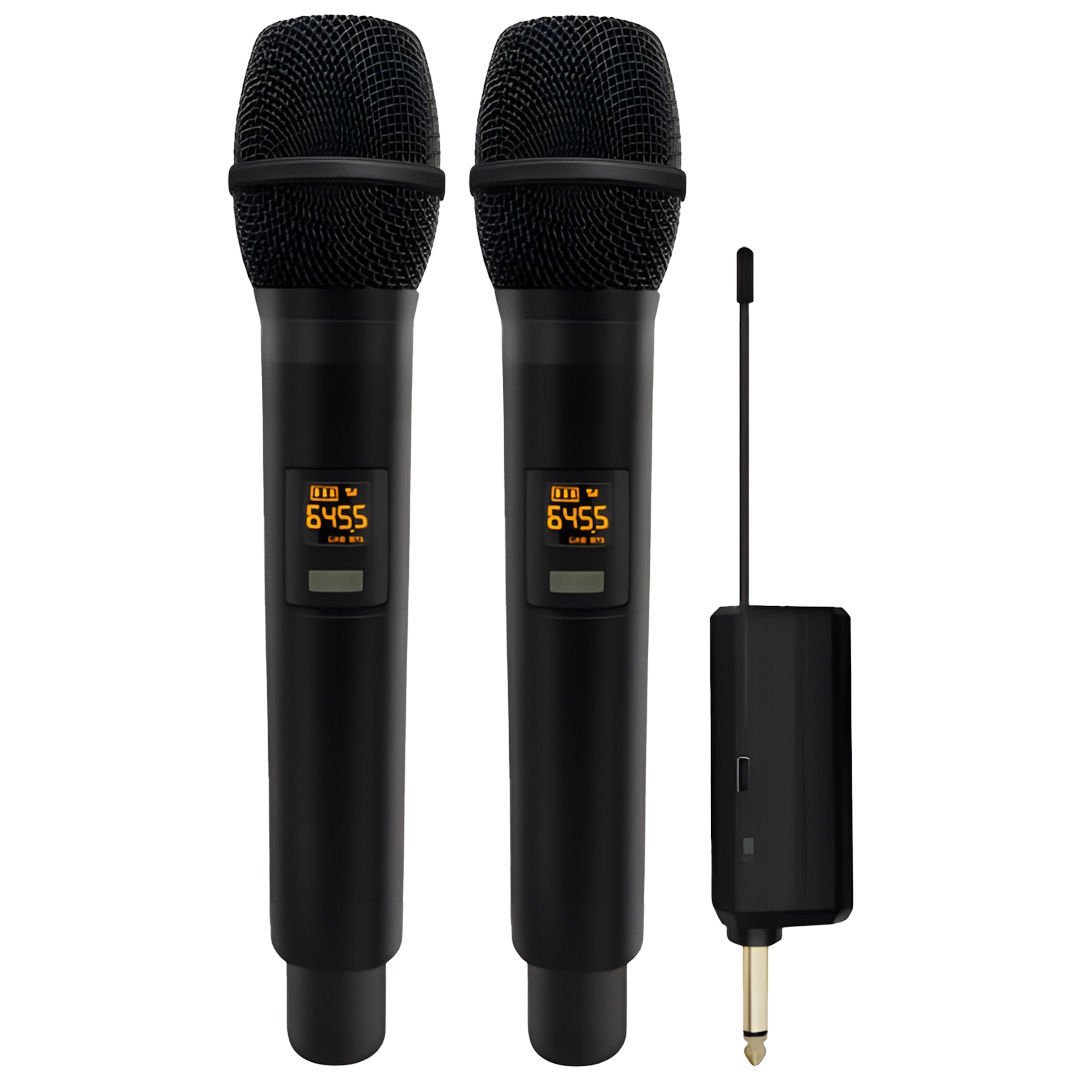 WM 3.2 Dual Professional Wireless Microphone System