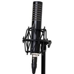 Royer R-101 | Pasif Stüdyo Ribbon Mikrofon