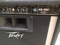PEAVEY KB-300