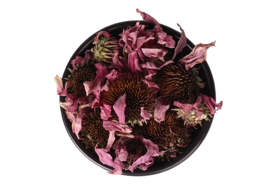 How to make echinacea tea? What are the properties of echinacea and how is it consumed?