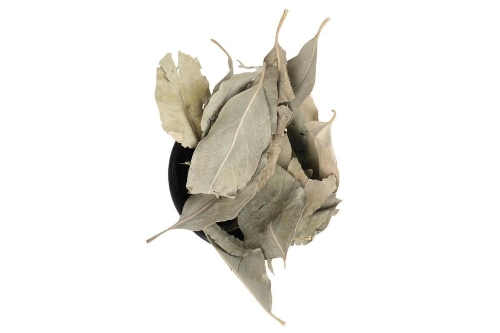 Okaliptus yaprağı çayı nasıl hazırlanır, faydaları nedir?