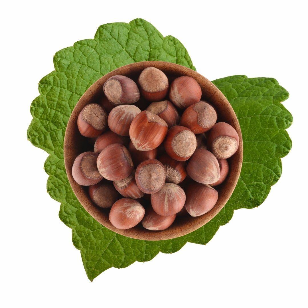Hazelnuts (In Shell) 500 g