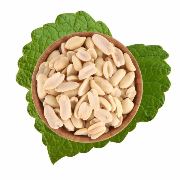 Blanched Peanuts 500 g