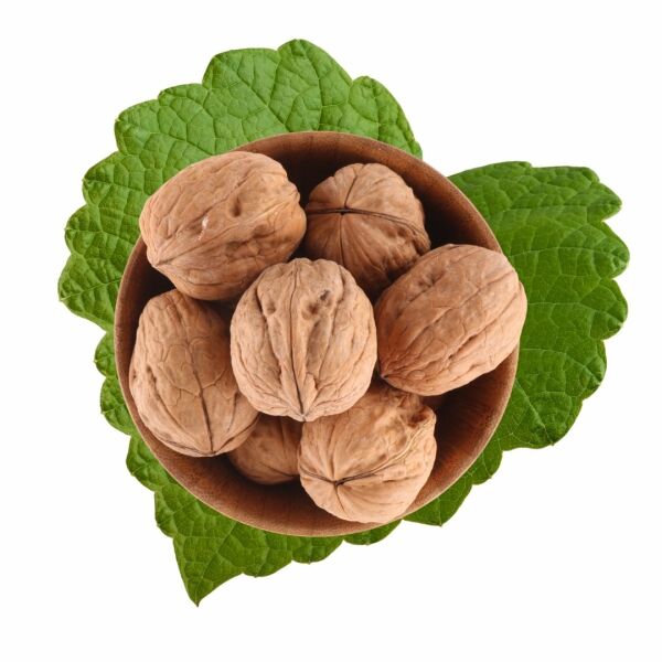 Walnuts (In Shell) 500 g