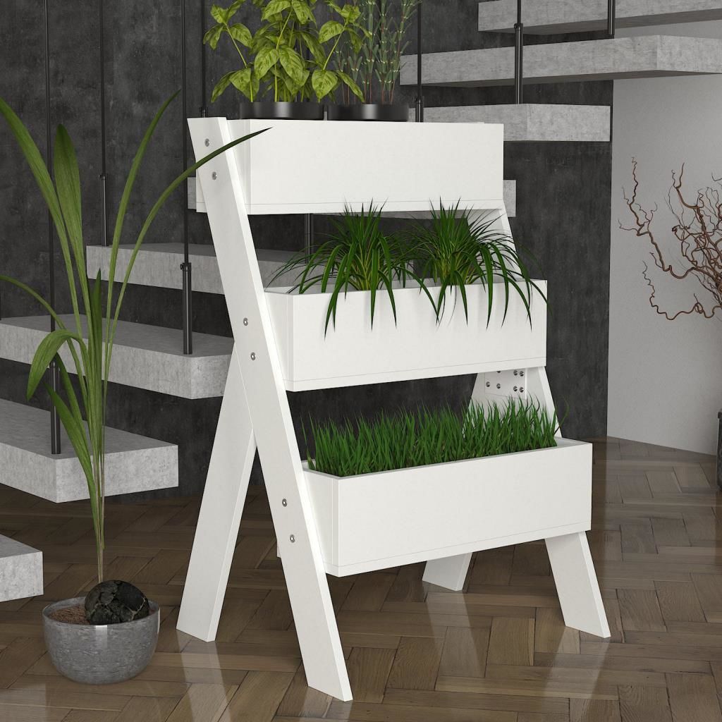 Dekorister Gardenia Çiçeklik Beyaz