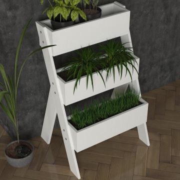 Dekorister Gardenia Çiçeklik Beyaz
