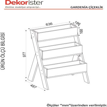 Dekorister Gardenia Çiçeklik Beyaz