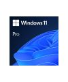 Windows 11 Pro OEM 64Bit İngilizce