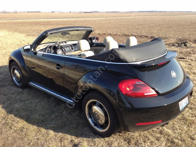 Volkswagen Beetle Spoiler