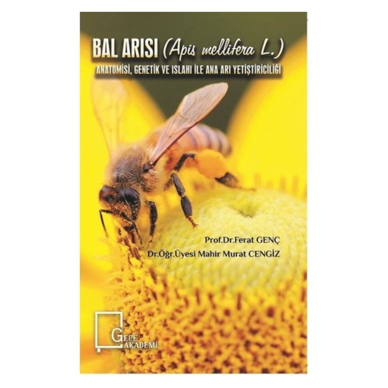 Bal Arısı (Apis Melifera L.) Anatomisi, Genetik ve Islahı İle Ana Arı Yetiştiriciliği