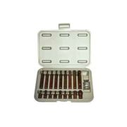 Rico Kk0002 19 Parça Kaplamalı Torx Bits Set