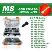 231 Parça M8 Akb Civata Seti + 10-13 Açık Ağızlı Anahtar