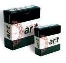 6300 ZZ ART RULMAN