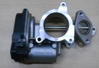 PİERBURG MOTOR EGR VALFİ