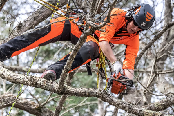HUSQVARNA T525 MOTORLU TESTERE