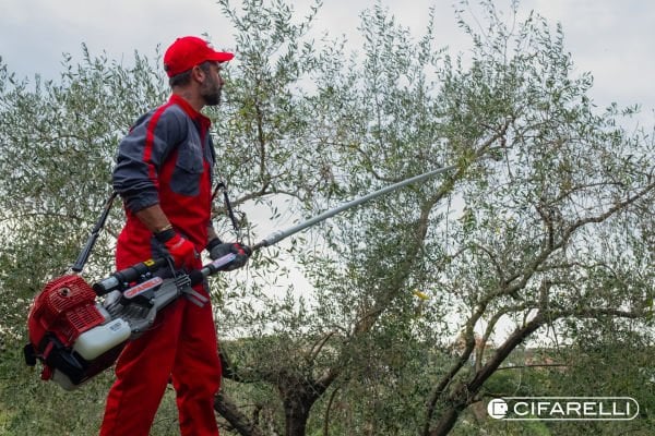 CIFARELLI SC-800 (TÜKENDİ)