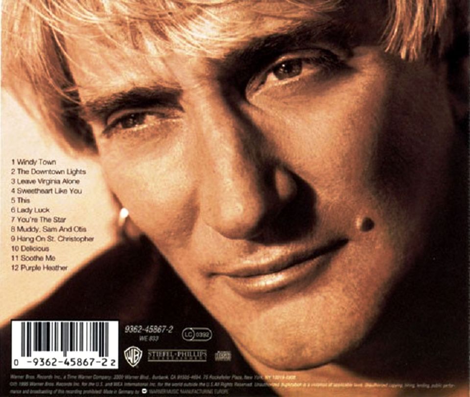 ROD STEWART - A SPANNER IN THE WORKS (CD) (1995)