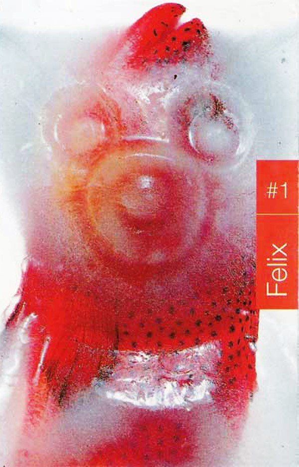 FELIX - #1 (MC)