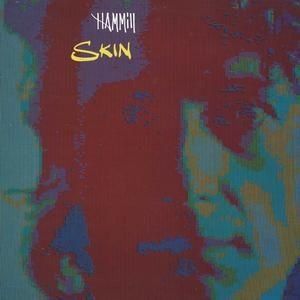 PETER HAMMILL - SKIN