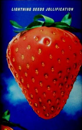 LIGHTNING SEEDS - JOLLIFICATION