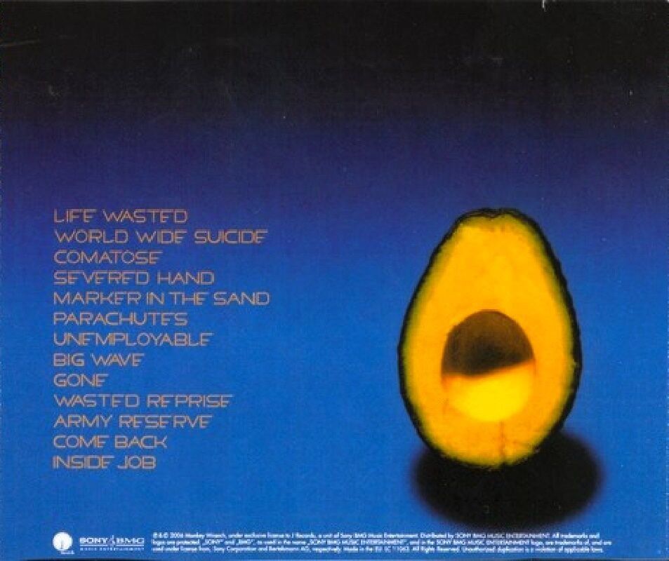 PEARL JAM - PEARL JAM (CD)