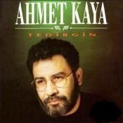 AHMET KAYA - TEDİRGİN