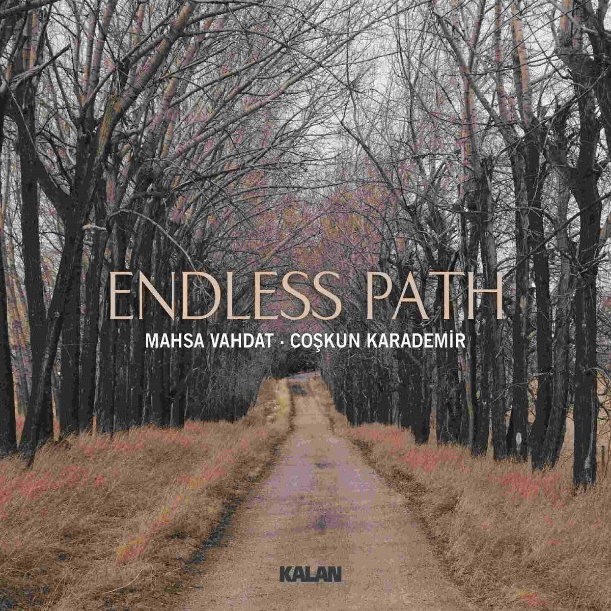MAHSA VAHDAT & COŞKUN KARADEMİR - ENDLESSPATH
