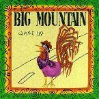 BIG MOUNTAIN - WAKE UP