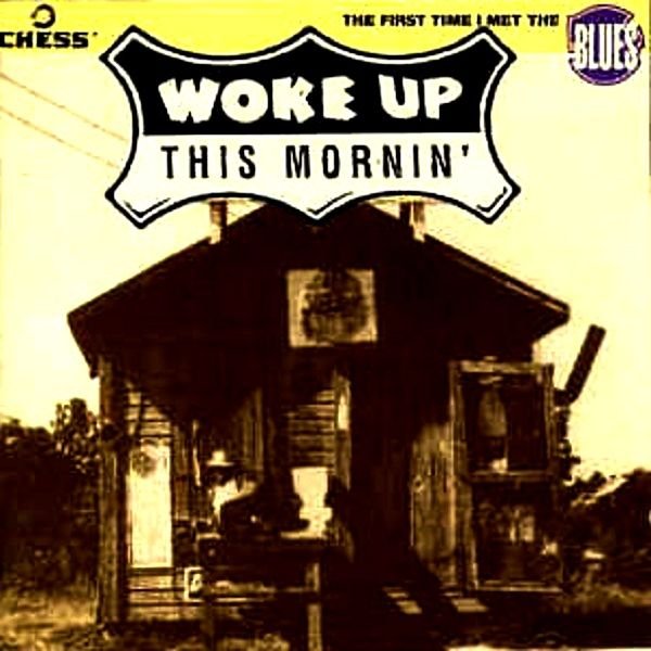 VARIOUS - WOKE UP THIS MORNIN' (CD) (1993)