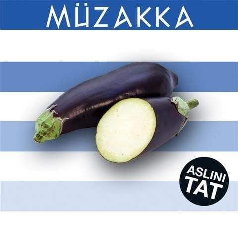 VARIOUS ARTISTS - MÜZAKKA (ASLŞNŞ TAT)