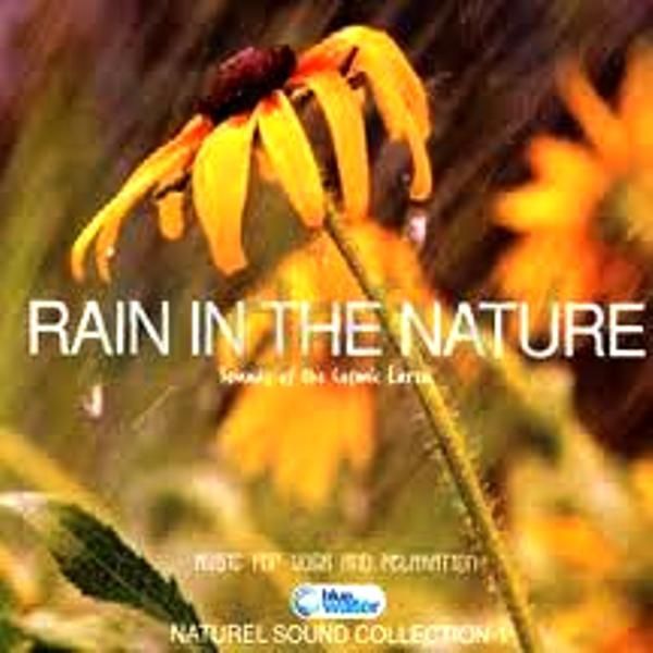 RAIN IN THE NATURE - SOUND OF THE COSMIC EARTH (MUSIC FOR YOGA AND RELAXATION)