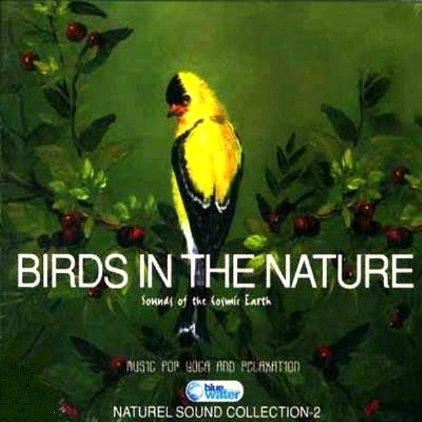 BIRDS IN THE NATURE - SOUND OF THE COSMIC EARTH