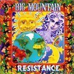 BIG MOUNTAIN - RESISTANCE