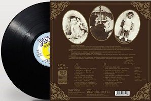 FERDİ ÖZBEĞEN - SEVİYORUM DELİCESİNE (LP)