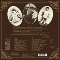 FERDİ ÖZBEĞEN - SEVİYORUM DELİCESİNE (LP)