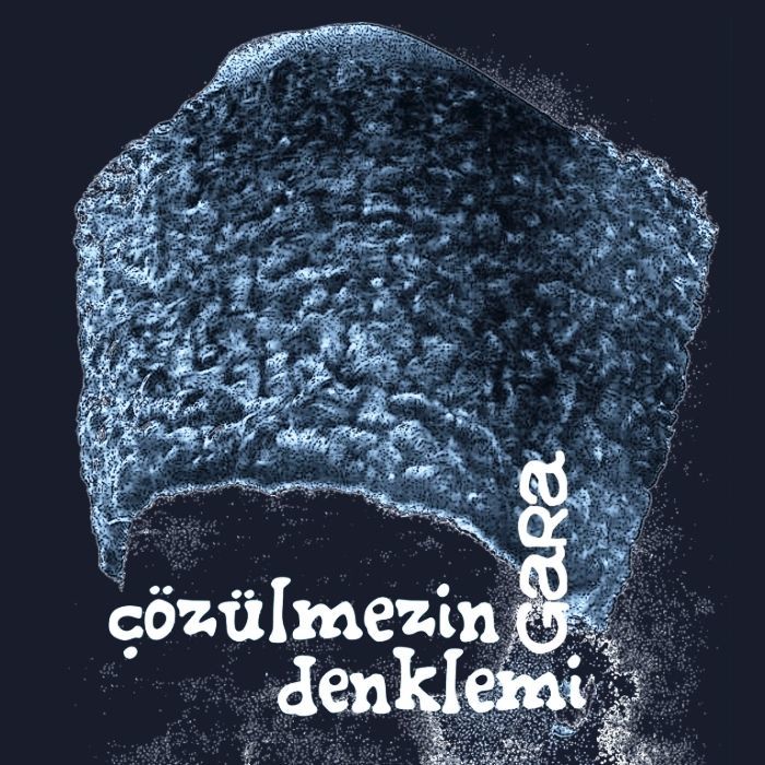 GARA - ÇÖZÜLMEZİN DENKLEMİ