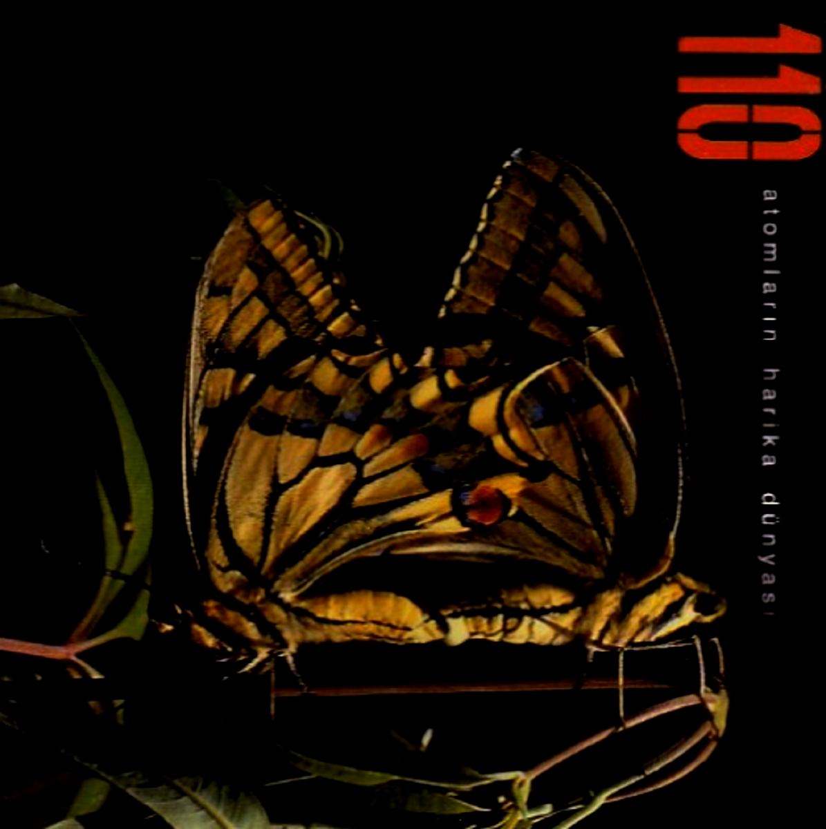 110 - ATOMLARIN HARİKA DÜNYASI (CD)