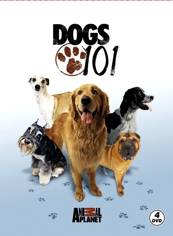 DOGS 101 - ANIMAL PLANET (4 DVD)