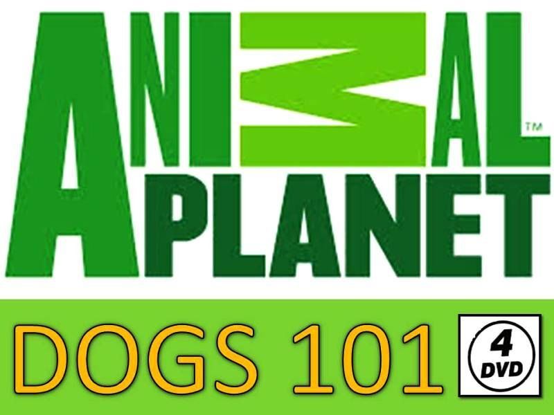 DOGS 101 - ANIMAL PLANET (4 DVD)
