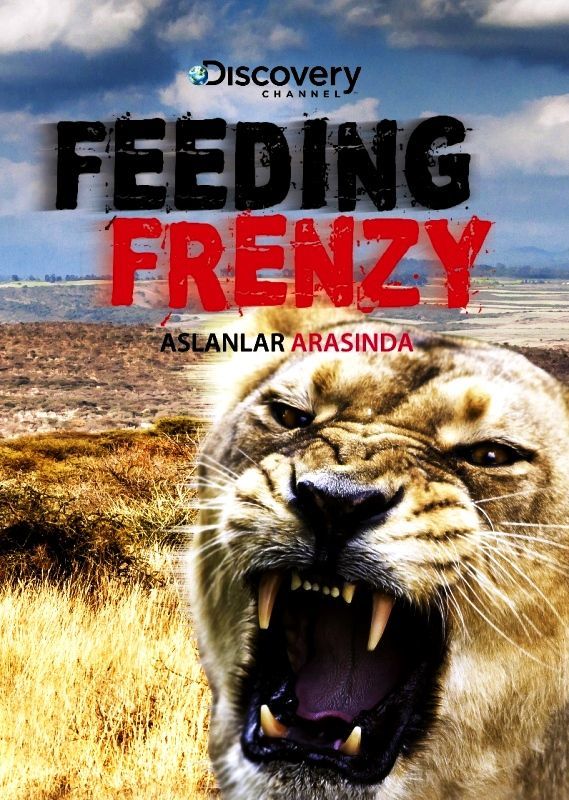 LION FEEDING FRENZY / ASLANLAR ARASINDA (2 DVD)
