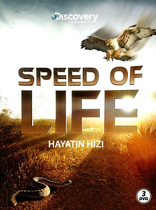 SPEED OF LIFE / HAYATIN HIZI - ANIMAL PLANET