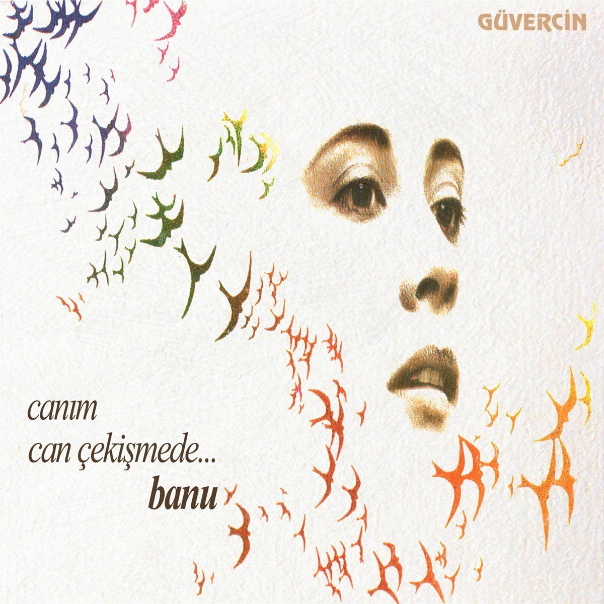 BANU - CANIM CAN ÇEKİŞMEDE (LP)