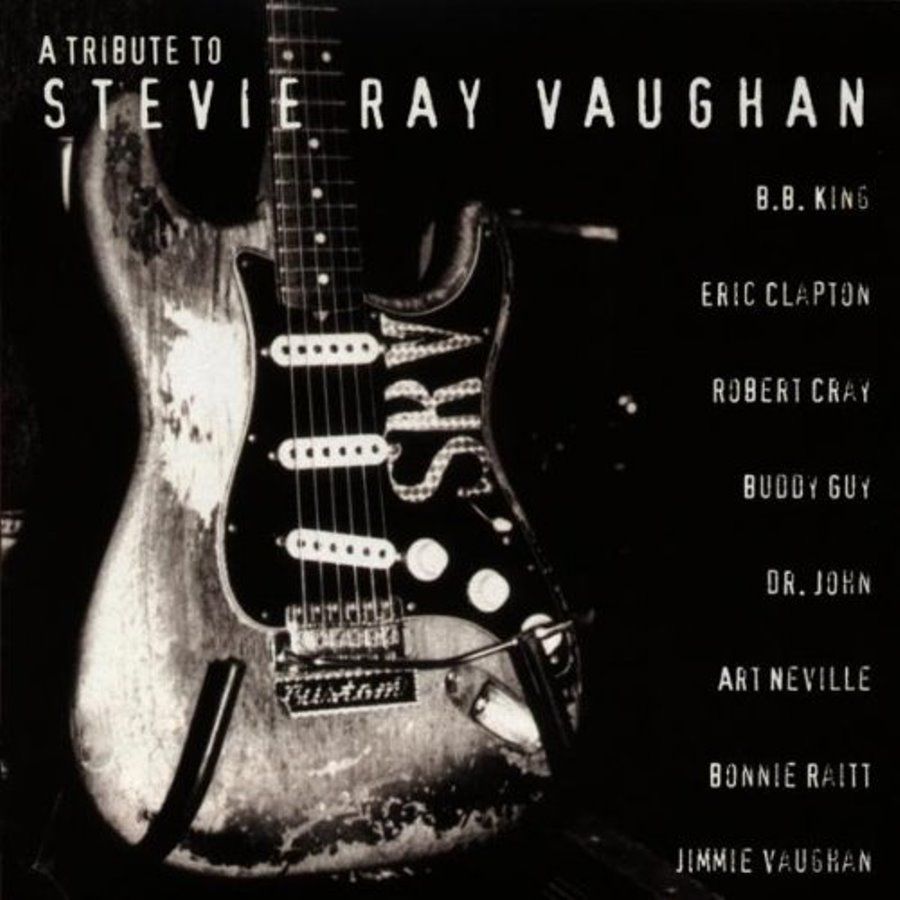 STEVIE RAY VAUGHAN - A TRIBUTE TO STEVIE RAY VAUGHAN