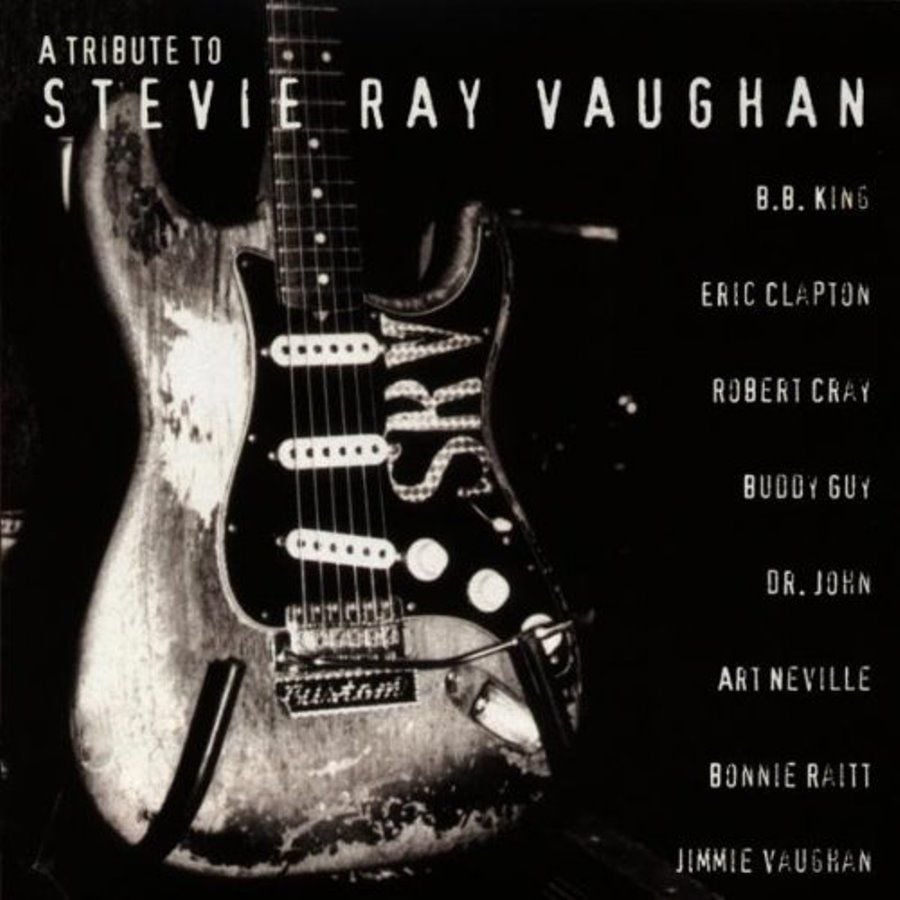 STEVIE RAY VAUGHAN - A TRIBUTE TO STEVIE RAY VAUGHAN