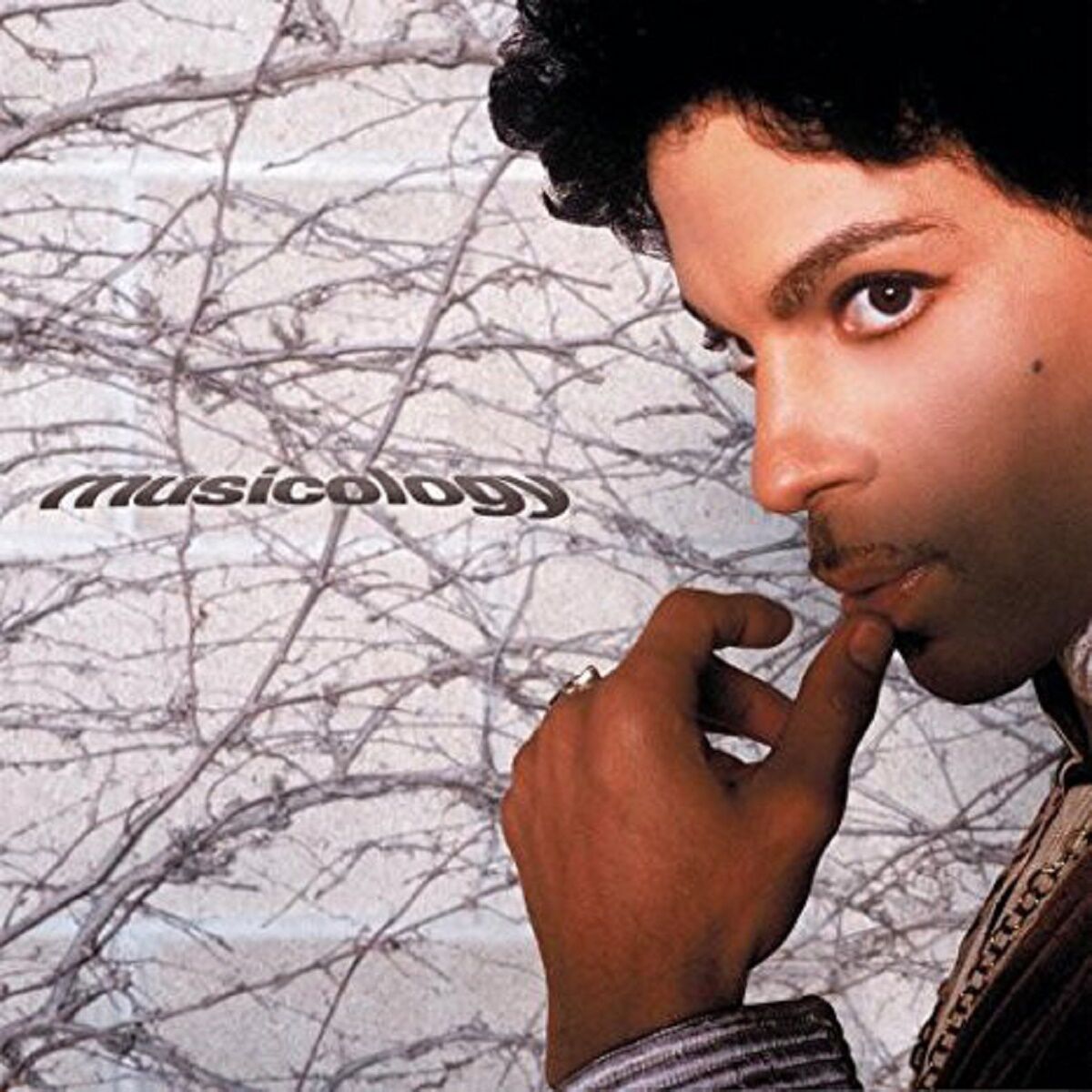 PRINCE - MUSICOLOGY (CD) (2004)