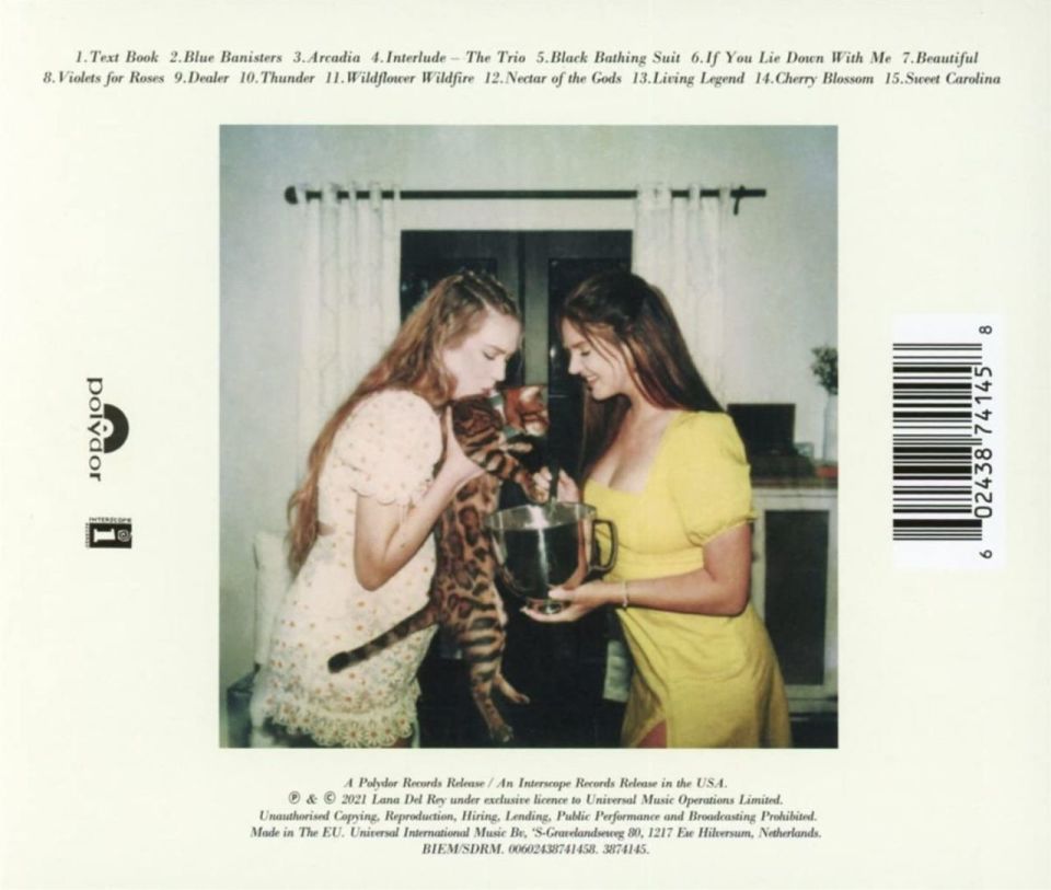LANA DEL REY - BLUE BANISTERS (CD)