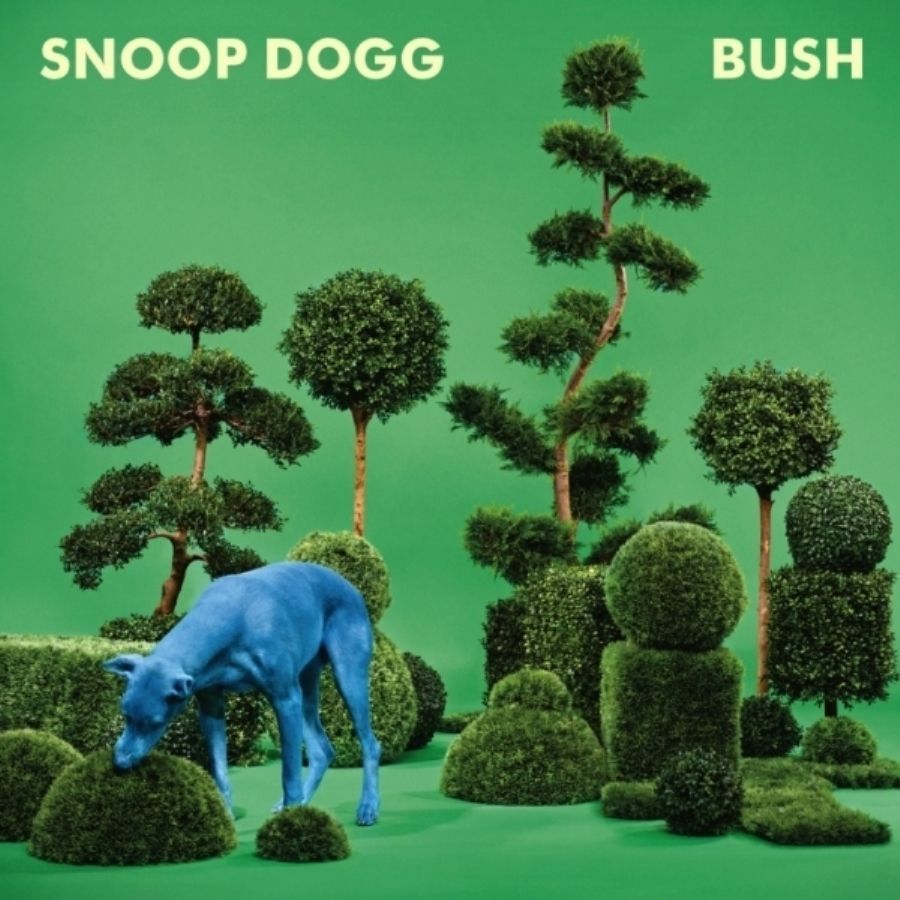 SNOOP DOGG - BUSH