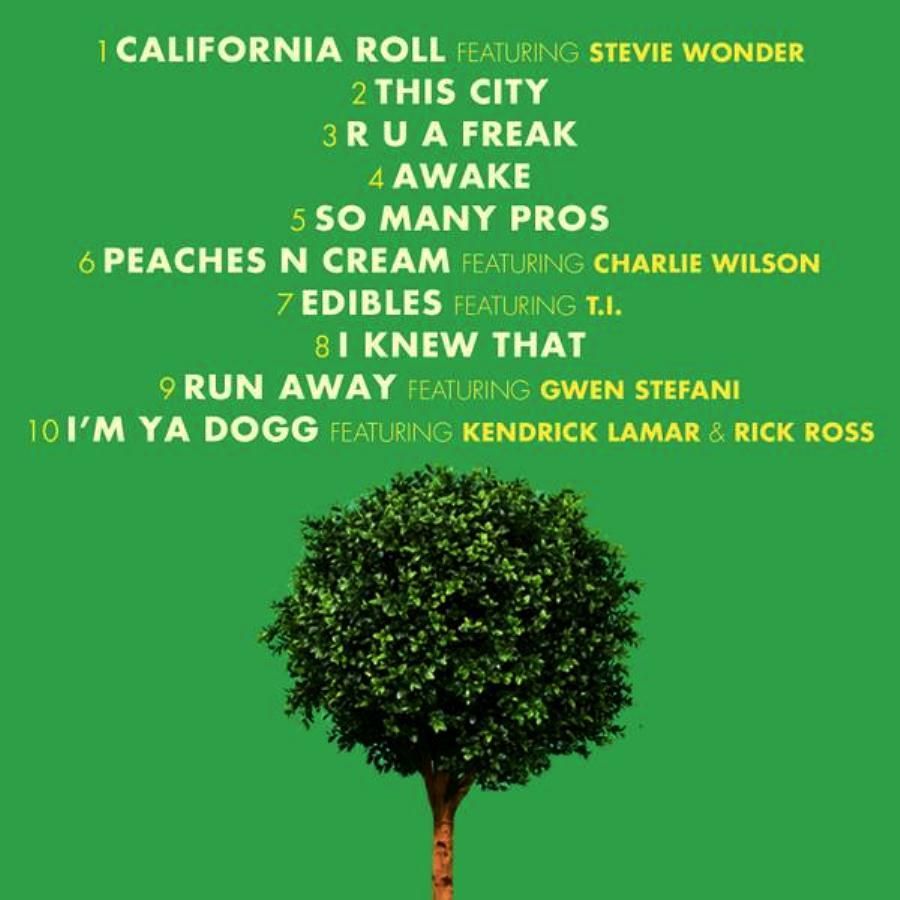SNOOP DOGG - BUSH
