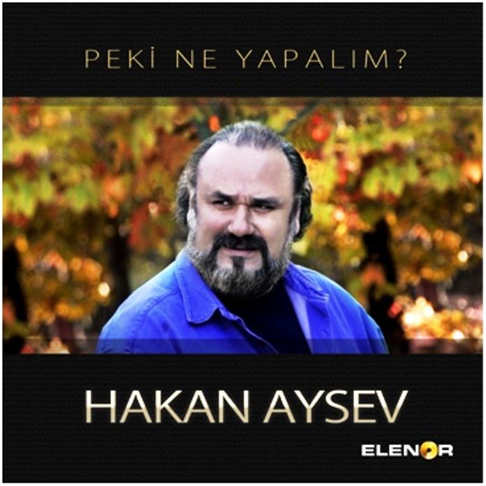 HAKAN AYSEV - PEKİ NE YAPALIM?